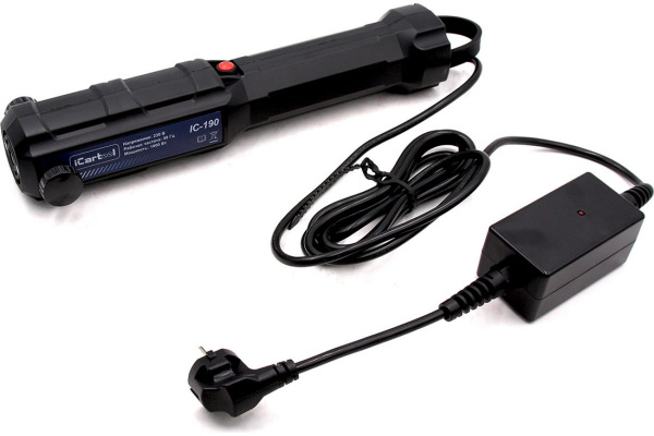 IC-190_2