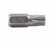GARWIN Бита 10 мм Torx T50 30 мм