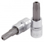 Licota Головка торцевая с вставкой torx с отверстием 1/2" T40 L=55мм